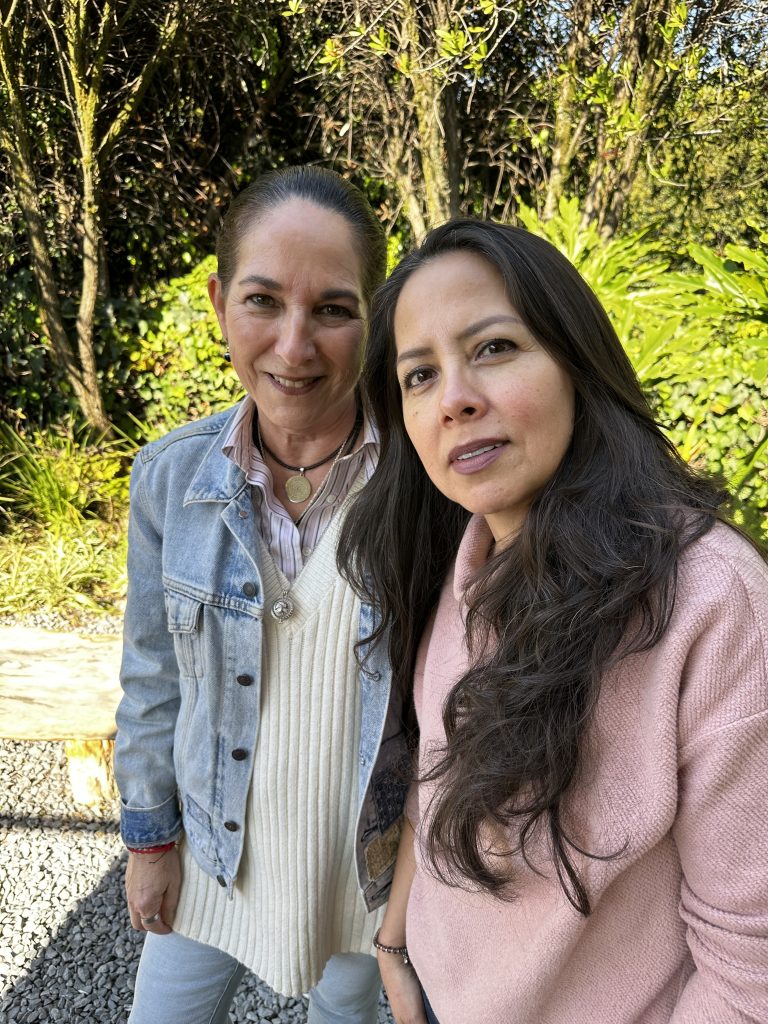 Ana Barquera - Constelaciones familiares en CDMX y en línea